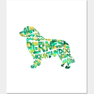 Bernese Mountain Dog Posters and Art